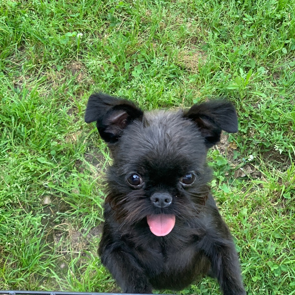 Meet your Posher, Che